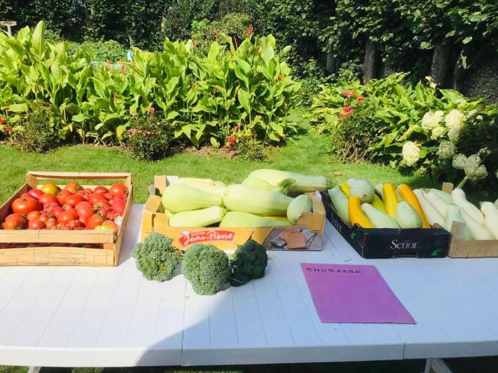 Gite 2 Ferme De La Haute 埃斯卡勒 外观 照片